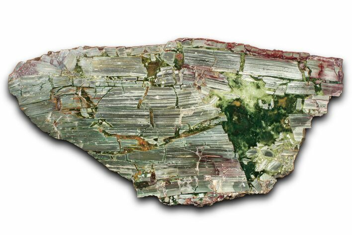 Polished Chow-Ma-How-Me Brecciated Jasper Slab - Oregon #336255